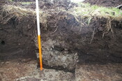 EHG3733_10.JPG