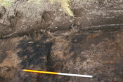 EHG3733_11.JPG
