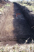 EHG3733_22.JPG