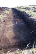 EHG3733_23.JPG