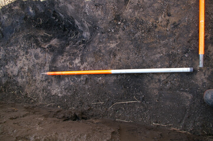 EHG3733_30.JPG