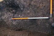 EHG3733_30.JPG