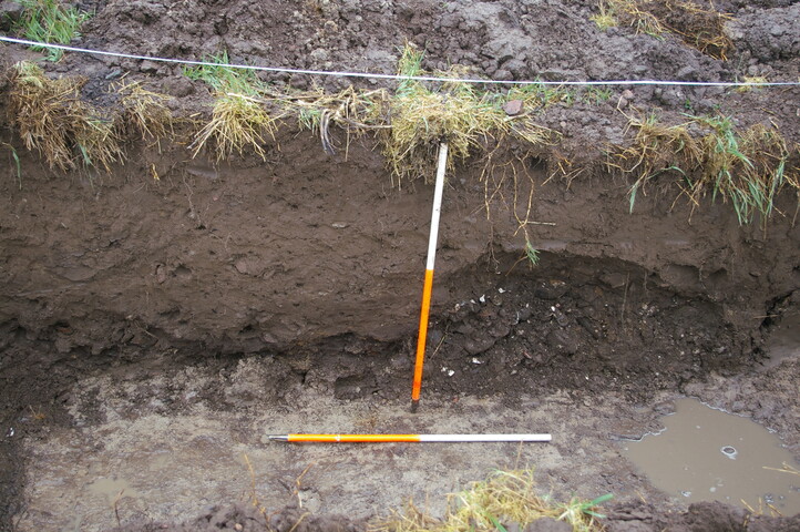 EHG3733_44.JPG