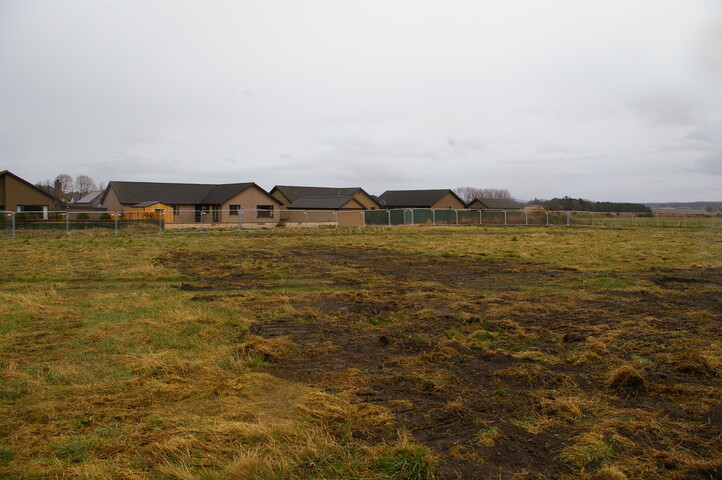 EHG3733_55.JPG