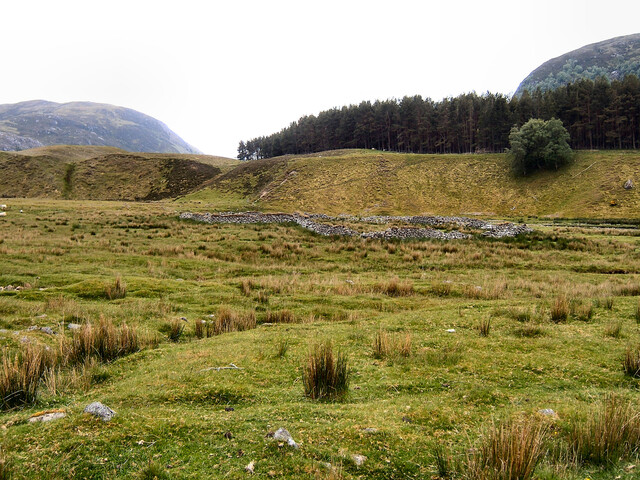 EHG3734_GE2012.01.JPG