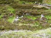 EHG3734_GE2012.05.JPG