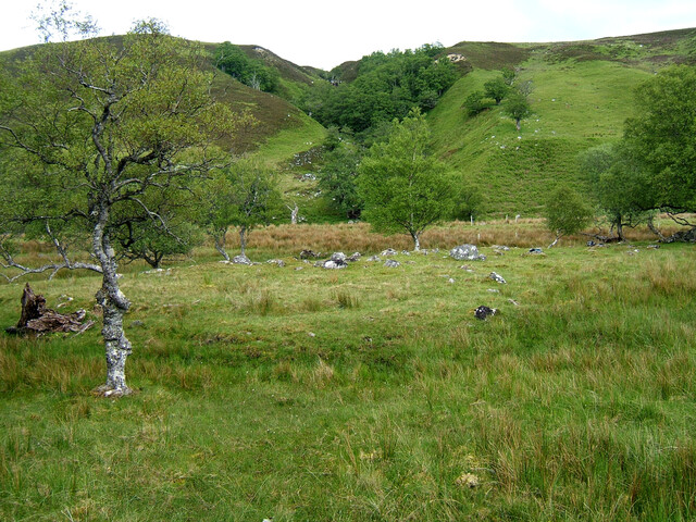 EHG3734_GE2012.11.JPG