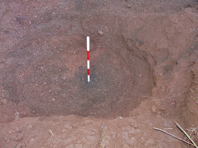 EHG3740_10.JPG