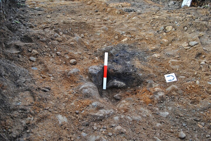 EHG3740_51.JPG