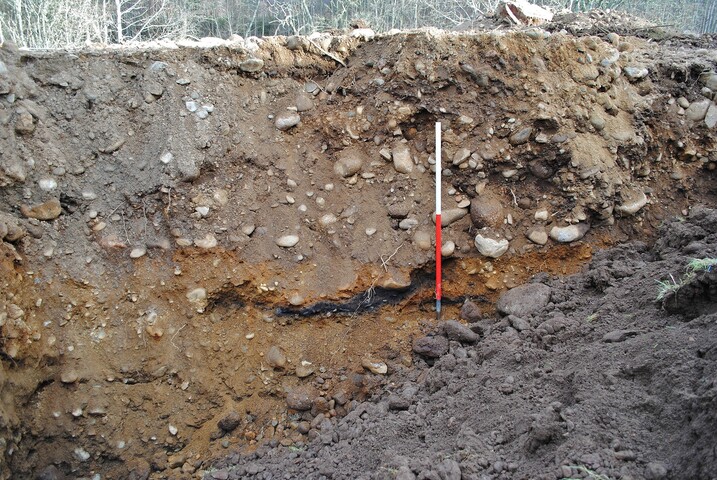 EHG3740_52.JPG