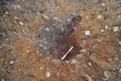 EHG3740_61.JPG