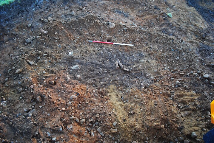 EHG3740_68.JPG