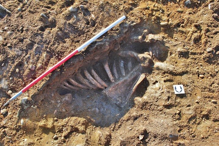 EHG3740_77.JPG