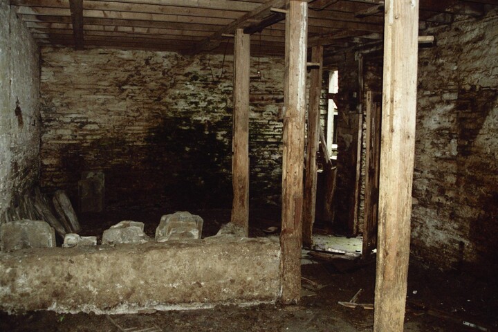 030.JPG