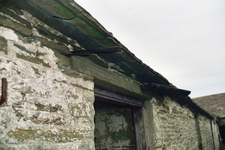 050.JPG