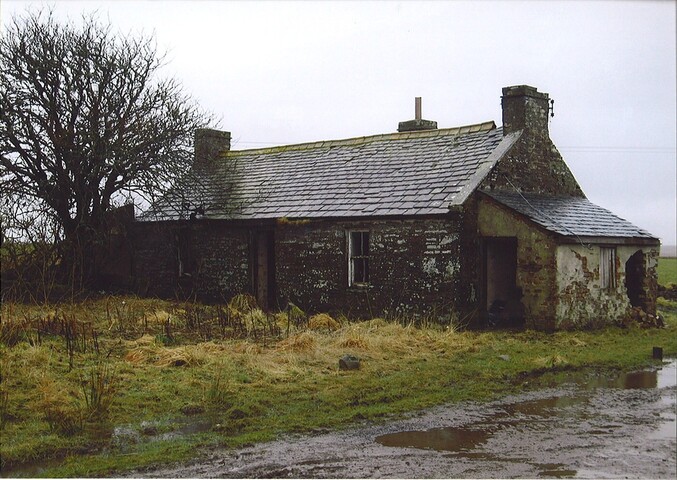 20070110163530_00002.jpg