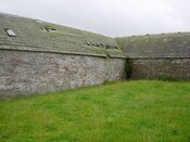 008_8.JPG