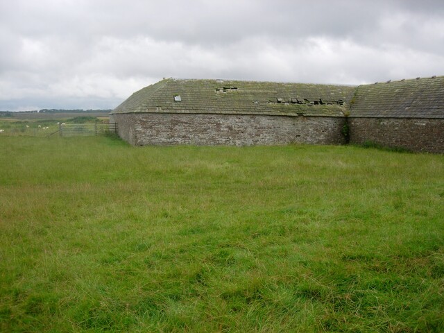 010_10.JPG