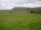 010_10.JPG