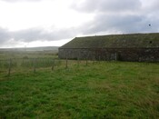 033_33.JPG