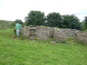 DSCF2030.JPG