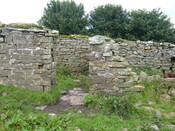 DSCF2032.JPG