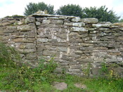 DSCF2033.JPG