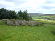 DSCF2045.JPG