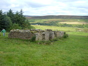 DSCF2046.JPG