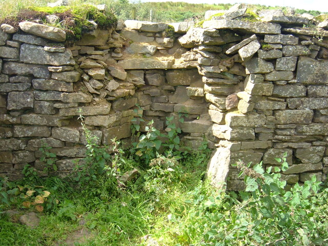 DSCF2047.JPG