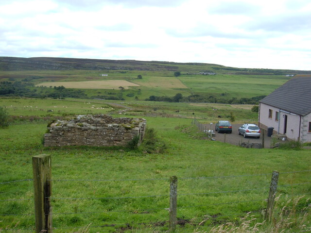 DSCF2049.JPG