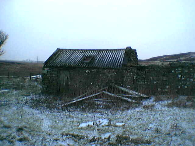 IMGA0105.JPG