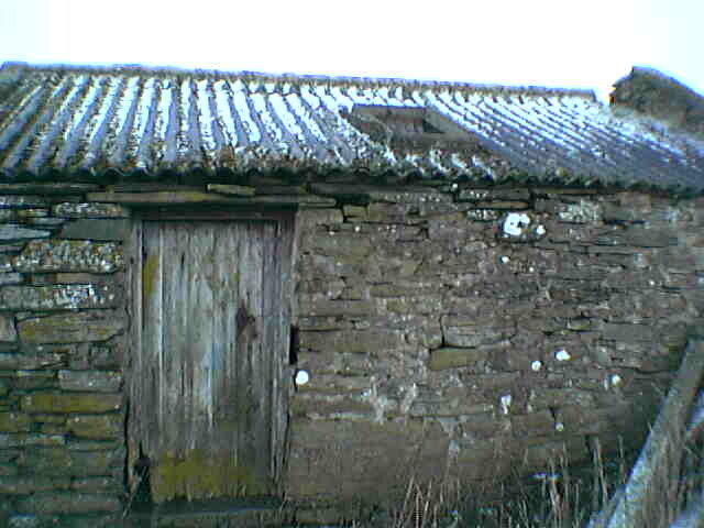 IMGA0109.JPG