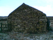 IMGA0115.JPG
