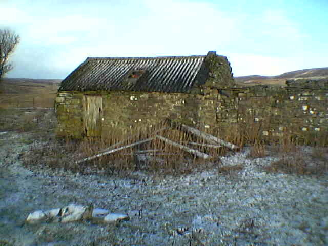 IMGA0123.JPG