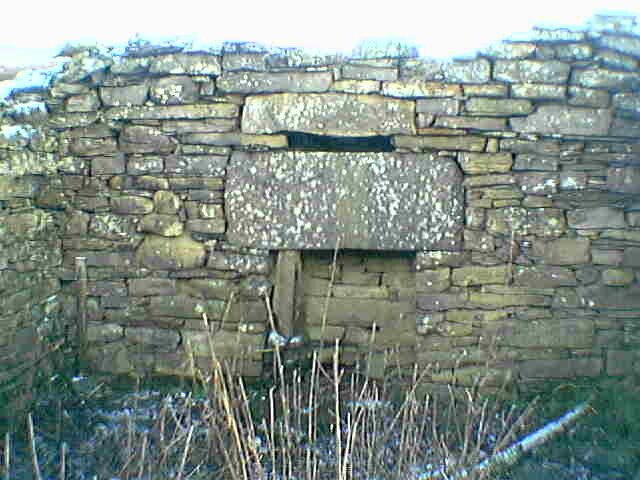 IMGA0124.JPG