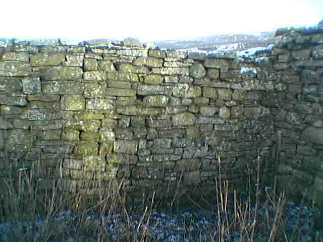 IMGA0126.JPG