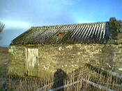IMGA0131.JPG
