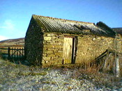 IMGA0132.JPG
