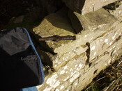 19. Close up of tile fixing nail.JPG