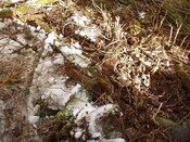 21. More collapsed roofing materials.JPG