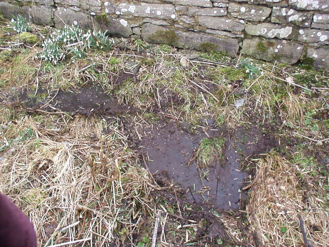 25. Slate pathway, partially cleared, to right hand side of .JPG