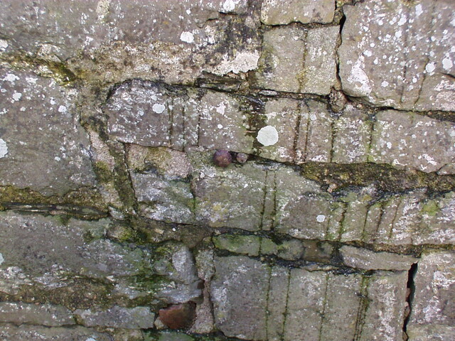 28. Nail in front wall on left of building.JPG