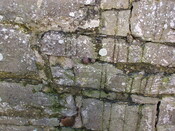 28. Nail in front wall on left of building.JPG