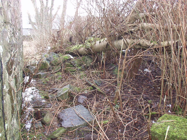 45. Close up of fallen tree on left hand side of building, t.JPG