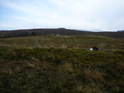 EHG3743_1.JPG