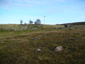 EHG3743_4.JPG