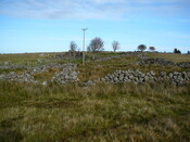 EHG3743_5.JPG