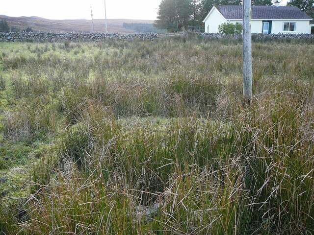 EHG3743_7.JPG