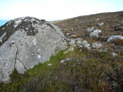EHG3743_8.JPG